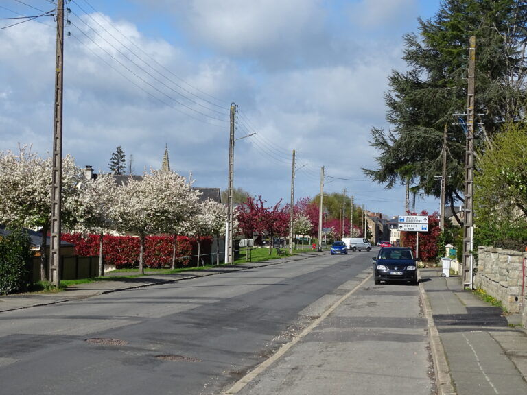 Lire la suite à propos de l’article Effacement des réseaux sur les avenues des Acacias et Gautier Père et Fils