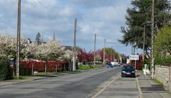 Effacement des réseaux sur les avenues des Acacias et Gautier Père et Fils