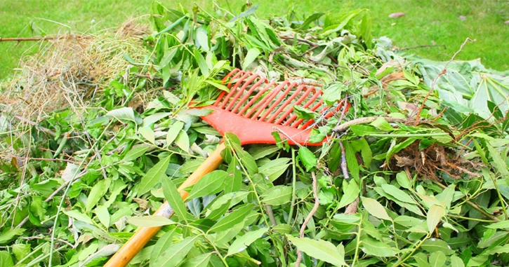 Lire la suite à propos de l’article Que faire de mes déchets verts ?