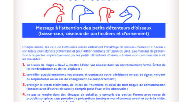 Influenza aviaire hautement pathogène (IAHP)