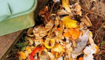 Les réservations pour obtenir un composteur sont ouvertes