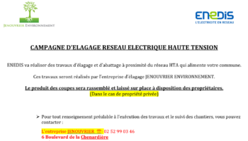 Campagne d&rsquo;élagage – Réseau haute tension
